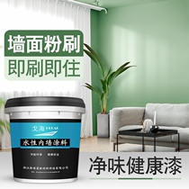 Small bucket latex paint waterproof toilet gray white indoor household wall paint refurbished bedroom interior wall primer