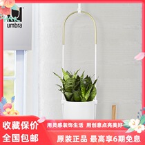 umbra Boluo multi-purpose flowerpot Nordic home wall decoration flower stand plant wall decoration flower Ware