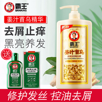 Bully ginger Ginger Fleece fleece-flower shampoo 1L large bottle control Oil Cuttings Anti glitter Men and women General shampoo Shampoo Shampoo