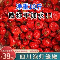 Sichuan Bubble Chili Chichuan Dragon No Water Bubble Light Cage Pretzels without water Scattered Weighing 5kg Bagged Pepper peppers Frogs Red Peppers