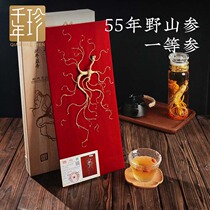 Changbai Mountain ginseng 55 years wild ginseng first-class gift box with certificate to send elders as gifts for holiday nutrition