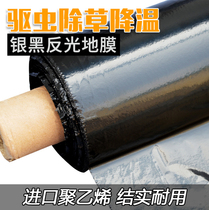 Agricultural thick silver black two-color reflective mulch film weeding film insect-proof plastic film fruit tree orchard vegetable greenhouse