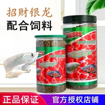 Panas recruits silver dragon with feed tropical fish gold dragon fish high protein fish food large fish food