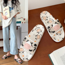 New home slippers female cartoon cows thick bottom lined anti-slip dorm flat bottom cool drag soft bottom to wear everyday