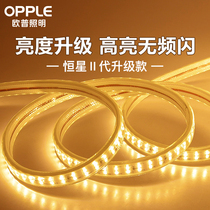 Op lamps with lamps TV background wall decoration soft belt strip living room ceiling 220v