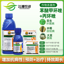 Syngenta Aimiao Difenoconazole propiconazole rice sheath blight rust leaf spot fungicide pesticide