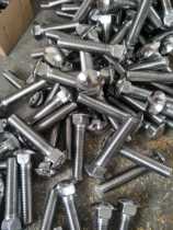 304 Stainless Steel Carriage Bolt M16M20