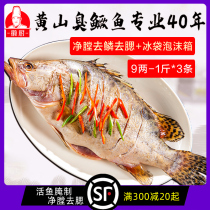 (9 taels * 3) Huangshan smelly mandarin fish Anhui specialty authentic Huizhou kitchen smelly mandarin fish semi-finished fresh flagship store