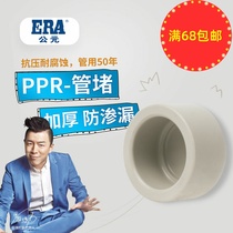 Cold and hot water pipe choke plug ppr4 Choke Caps Hot melt pipe 20 20 25 32 Water pipe cap pipe containment