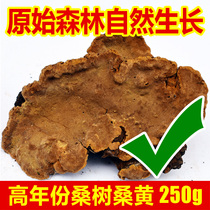 Pure wild Mulberry Mulberry and super Chinese medicine Ganoderma lucidum 250g non-Tibet Autonomous Region Changbai Mountain non 500g