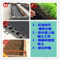 Horticultural Green Resistance Root Plate Plastic Storage Drain Water Board 2 0-5 0H Roof Garden Planted with flower and grass drainage water