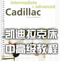 Pilates Institution Cadillac Equipment Pilates Cadillac Bed Advanced English