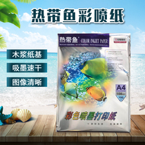 Tropical fish a4 color inkjet paper Anne photo paper color inkjet printing paper 108g renderings printing paper photo studio