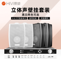 Hivi Huiwei VA4-OS VA6-OS fixed resistance wall-mounted speaker hanging wall speaker radio conference room background music