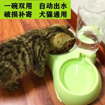  Pet supplies Food pots cat food cutlery dog bowls Teddy dog lunch boxes non-slip double bowls drinking water and eating dual-use