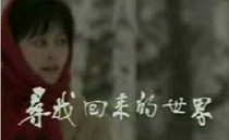 DVD version Looking for the World Back] Xu Yajun Song Dandan 12 episodes 1 disc