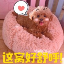 Cute deep sleep long hair dog kennel cat Nest warm in autumn and winter super soft long hair round depth