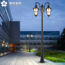 Street Lamp Outdoor Home Yard 220V Au Style Garden Villa Lamp Courtyard View 3 m Cell Double Head High Pole Lamp