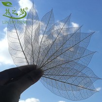 Rubber Leaf Veins Dry Leaves Specimen Bookmark Diy Pawnflower Dry Flowers Children Handmade Lights Evergreen Flower Dripping Glue Props