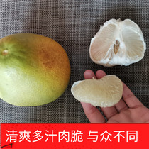 1kg Jiangxi Anfu Jinlan pomelo Pingxiang Anfu silkworm Jinsha pomelo Jinggangshan Honey Pomelo White pomelo green pomelo