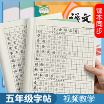 New (letturestive group word idiom 3-order practice) 5th grade Upper register of language copybook People teaching edition synchrotron letturestive students special letturestive lettureshare written and written in red block letters and practice writing letters and practice words