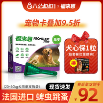 Foley large dog drops dog in vitro anthelmintics flea ticks special for flea ticks