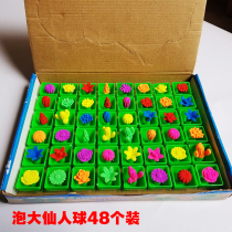 Creative Bubble Large Expansion Small Flower Cactus Toy Bubble Water Potted Ball Simulation Plant Flowers Simulation Growth