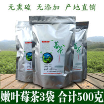  Xiangpin Golden leaf new young leaf berry tea vine tea Zhangjiajie Maoyan mold Tujia throat bitter dew tea