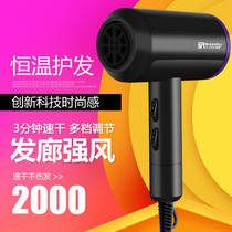  Shunrui hair dryer Student dormitory household high-power negative ion hair dryer Hair salon hair dryer