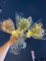 Stars dried flowers with lights stalls glowing pink decorations birthday gifts graduation living room blue mixed color