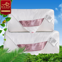  Silver Sea silk 100 mulberry silk quilt air conditioning quilt Winter quilt warm mother quilt spring and Autumn quilt core children
