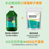 Chlorella medium Algae green algae compound green algae species fish pond shrimp and crab aquaculture can be expanded to 1200 kg