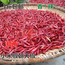 1 Edible agricultural products Jin farmhouse self-drying special millet spicy red dried pepper ChaoTianjiao sea pepper 500g