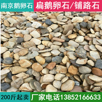 Nanjing flat stone pebbles rain stone washing stone Garden engineering Park courtyard paving paving stone Mine direct sales