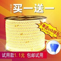 LED light with 2835 double row living-room ceiling 220v waterproof outdoor ultra bright 5730 double row 120 bead soft light strip