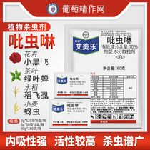 Germany BAYER Amile 70%Imidacloprid White whitefly aphid Rice planthopper Small black flying moon season pesticide Insecticide