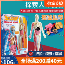 The American smartlab explores the human organ model visceral child assembly science experimental puzzle 3d deplaning