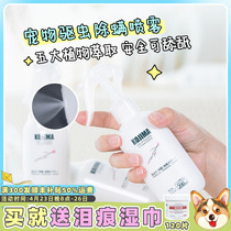 Small Fat Kirky Kojima Pet Pooch Cat In Vitro Insect Repellent Spray to Flea Ticks With Tickling Spray