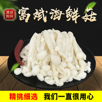 Fresh water seafood mushrooms vacuum 10 pounds of bacteria Edible wild mushrooms braised vegetables Cold vegetables raw materials Vegetarian dishes Malatang