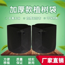 Factory direct beauty plant bag thickened tree planting bag non-woven thick seedling bag black carrying aging nutrition bag bag
