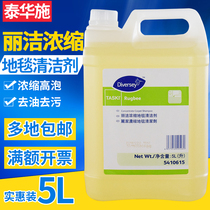 Taihua Shi Lijie Concentrated Carpet Cleaner 5410615 High Foam Carpet Shampoo Sofa Fabric Cleaning Hotel