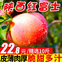 Pure Fragrant Fruit Shaanxi Red Fuji Apple Fruit Fresh 10 Jin Season Ice Sugar Heart Red Apple Whole Box