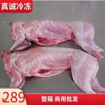 Frozen white rabbit frozen fresh rabbit meat to head rabbit whole box for sale