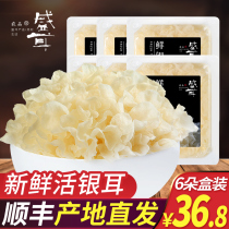In-ear fresh silver ear 6 Dot box with live fresh snow ear gutian white fungus Glutinous Ear Lotus Seed Soup to produce dry goods