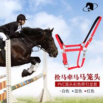 Equestrian traction horse dragon head bolt PVC color dragon set big horse pony horse dragon set horse belt cage cover