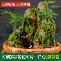 Rockery stone bonsai small fish tank fish tank ornaments micro landscape plants absorbent stone decoration tower pavilion living plants