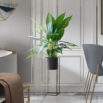 Roman Mom Indoor Emulation Green Plant Grey Palm Potted Clothing Shop Floor Potted Office Desktop Decoration Plant