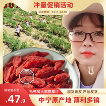 Authentic Ningxia Zhongning small grain red medlar 500 gr raw ecological self-production self-selling bubble water bubble wine stew commercial