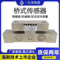 Ocean DYQ-101 Bridge Weighing Sensor Special Vehicle Scale and Vehicle Wheel Axial Force Measurement