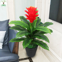 Simulation plant When head Hung Wan Living room swing piece Landing Fake Flower Furnishing Small Red Palm Potted Plant Decoration Simulation Flowers Bonsai